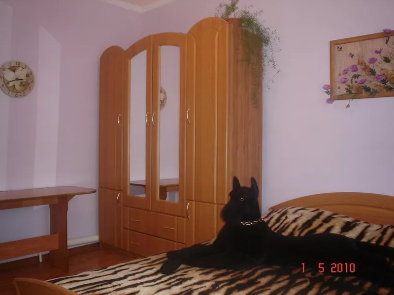 Дом в Белгороде 130 м2,  евроотделка,  мебель,  уч. 8 сот. 4